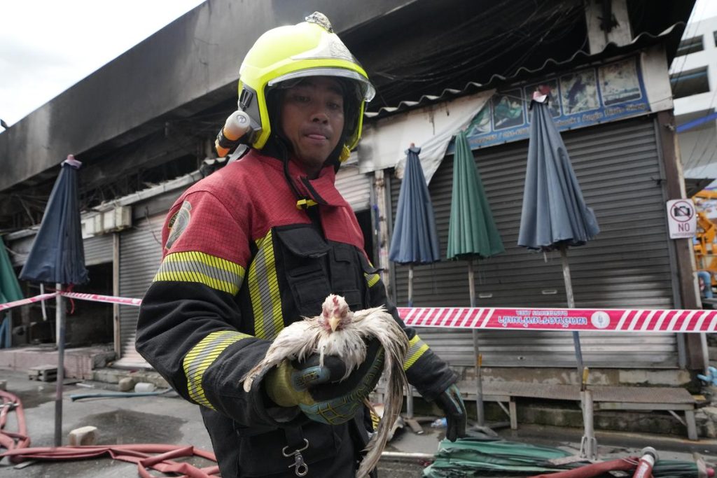 A fire at a market in Bangkok results in the tragic death of hundreds of caged animals