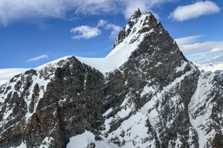 swiss