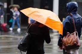 Weather Tracker: Cyclone Hayley Delivers Strong Winds and Heavy Rain to Australia Cyclone Hayley