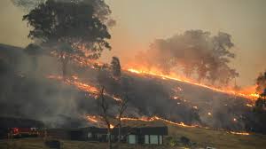 Victorians urged to evacuate Otways as major fire threatens more than 1,000 homes to the east Otways